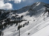 08 alta collins gulch 071021.jpg