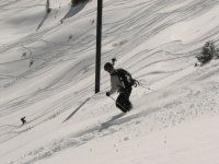 10 alta skidog 071021.jpg