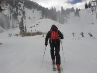 14 alta admin skinning 071021.jpg