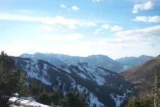 Jup and Scotts Bowl.jpg