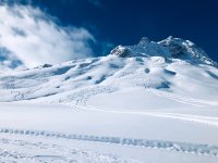 IMG_9303.jpg