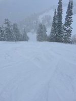 IMG_1356.jpeg