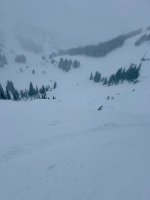 IMG_2929.jpeg