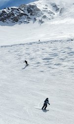 mrs ts 12 mar 2025 snowbird.jpg