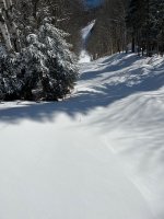 IMG_8442.jpeg