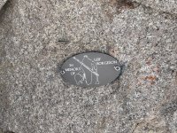 IMG_7103.jpeg