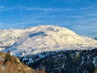IMG_4418.JPEG