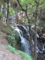 IMG_0975.JPG