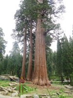 IMG_1050.JPG