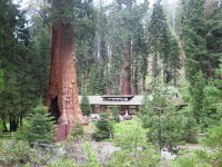 IMG_1052.JPG