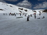 IMG_7581.jpeg