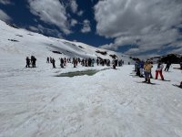 IMG_7592.jpeg