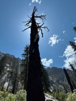 IMG_0600.JPG