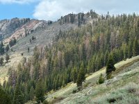 IMG_0690.JPG