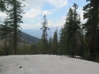 IMG_1232.JPG