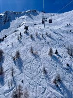 IMG_6371.JPEG