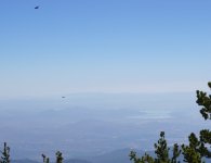 DSC00752a.JPG
