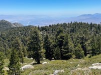 IMG_1006.jpg