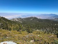 IMG_1015.jpg