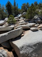IMG_1022.jpg