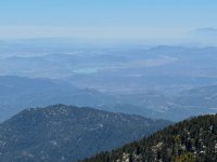 IMG_1037.jpg