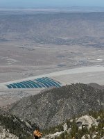 IMG_1038.jpg