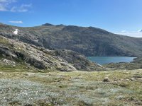 IMG_8924.jpeg