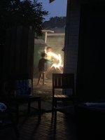 IMG_0855.jpeg