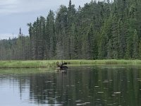 IMG_7571.jpeg