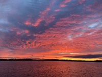 IMG_4155.jpeg