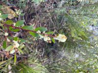 IMG_3042.jpeg