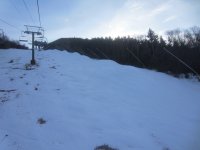 Loon snow whales 02Dec2014 - 2.jpeg