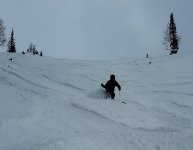 8 jan 2026 phone 3 shot snowbird.jpg