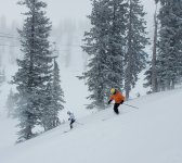 upper chips 8 Jan 2026.jpg