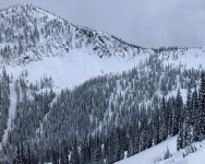 3023EnchantedForestFromChair.JPG