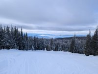 PXL_20260209_185212449.jpg