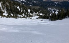 3238LookingDownBowl.JPG