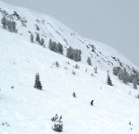 IMG_4358a.JPG