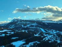 IMG_7145.JPG