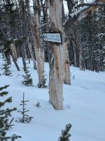 IMG_8385.JPG