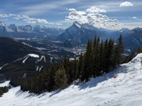 IMG_1203.jpeg