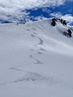 IMG_8203.jpeg