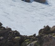 IMG_5240a.JPG