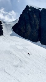 IMG_8788.jpeg