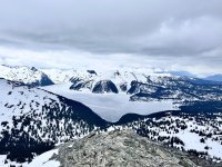 IMG_8785.jpeg