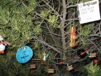 tree-lift.JPG