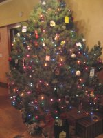 IMG_0930_2_1.jpg