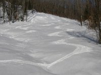 stoneham1.jpg