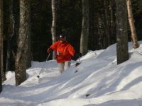 stoneham8.jpg