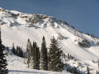 04 alta backside 080101.jpg